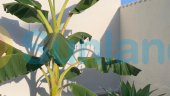 Använda fastigheter - Villa - Ciudad Quesada
