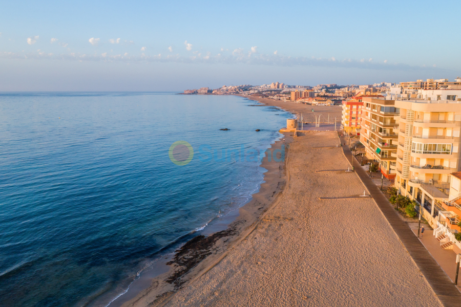 Segunda mano - Flat - Torrevieja - La Mata