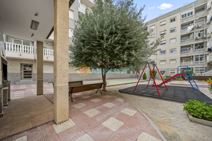 Använda fastigheter - Apartamento - Torrevieja - Centro