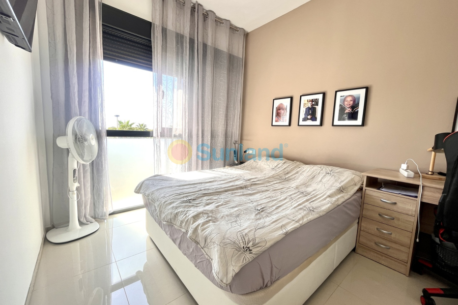 Resale - P - Los Dolses