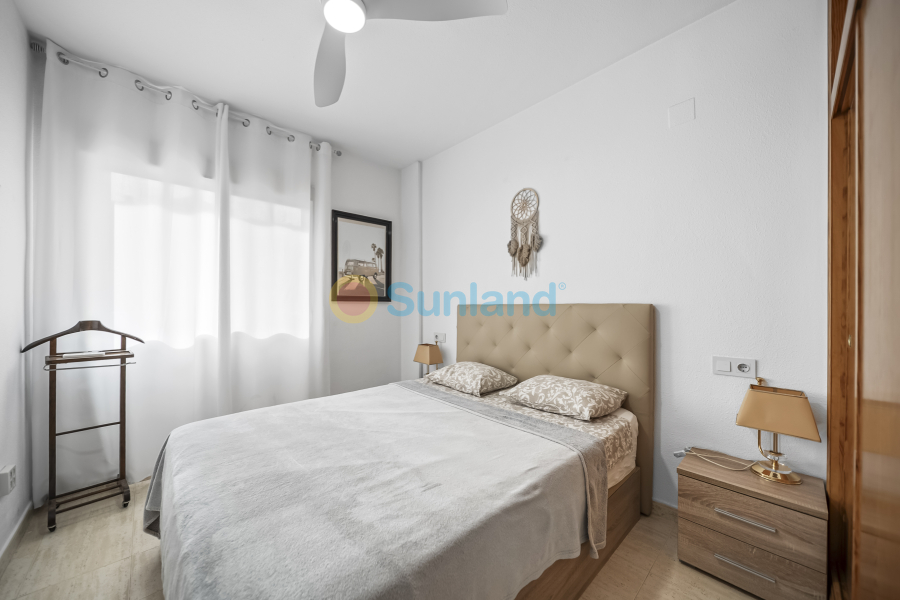 Använda fastigheter - Apartamento - Torrevieja - Centro