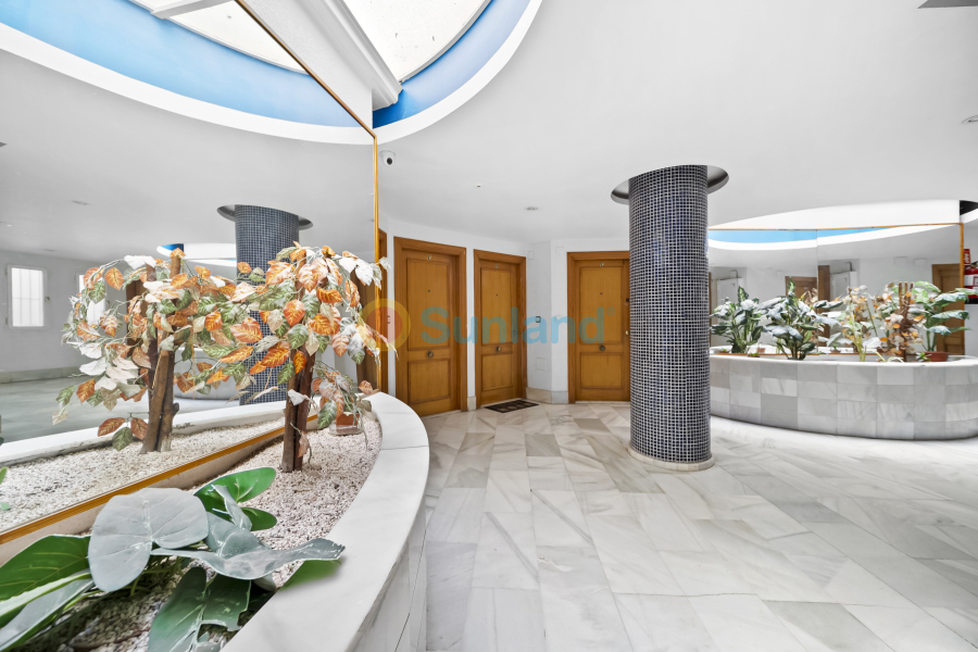 Brukte eiendommer - Apartamento - Torrevieja - Centro