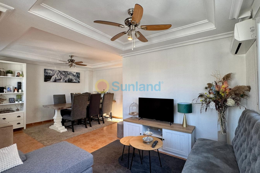 Segunda mano - Chalet - Torrevieja - Los Altos*