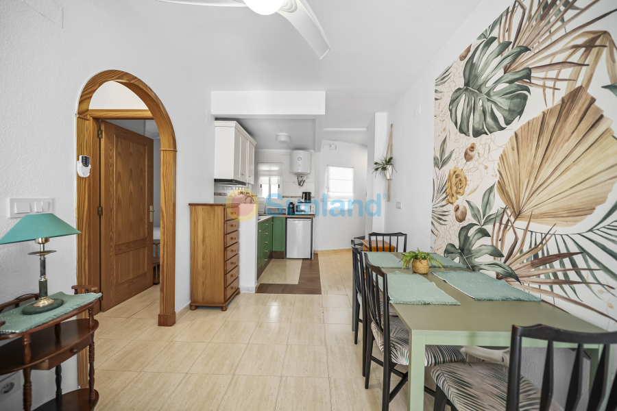 Använda fastigheter - Apartamento - Torrevieja - Centro