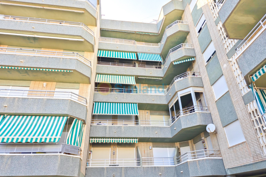 Resale - Apartment - Guardamar del Segura - 