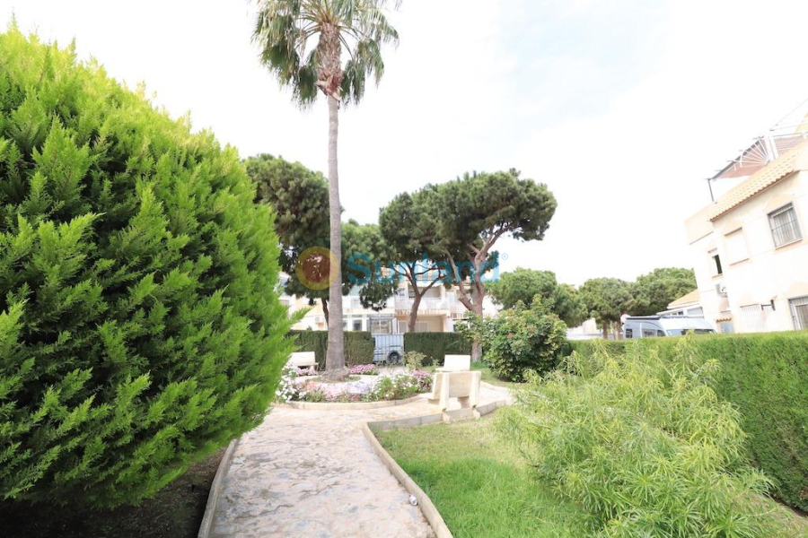 Använda fastigheter -  - Torrevieja - Lago jardin