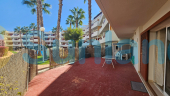 Segunda mano - Apartamento - Playa Flamenca - El Rincon