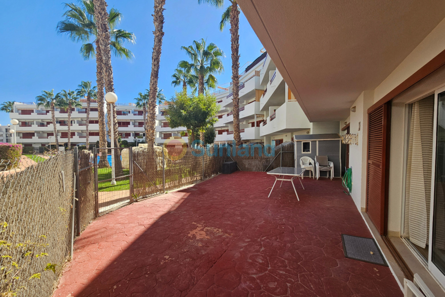 Segunda mano - Apartamento - Playa Flamenca - El Rincon