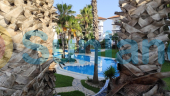 Resale - Apartment - La Mata