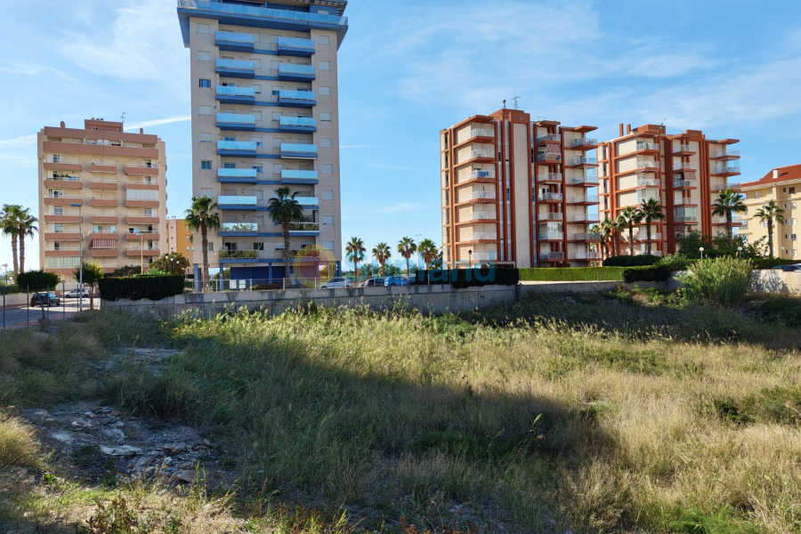 Resale - Land - Guardamar del Segura - 