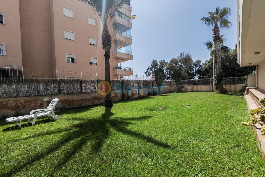 Resale - Apartment - Guardamar del Segura - 