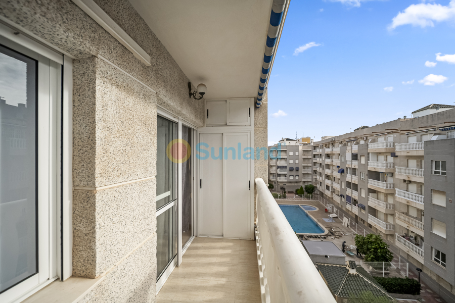 Använda fastigheter - Apartamento - Torrevieja - Centro