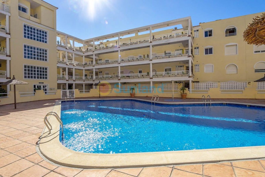 Resale - Duplex - Orihuela Costa - Campoamor