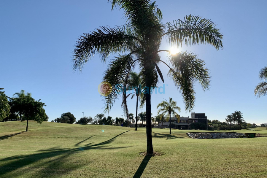 Nueva construcción  - Bungalow - San Javier - Roda Golf