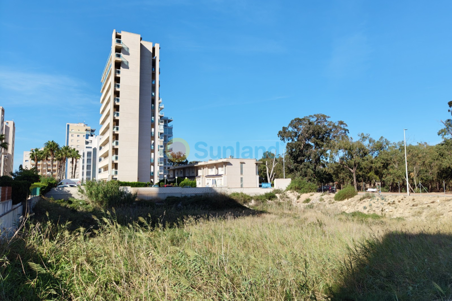 Resale - Land - Guardamar del Segura - 