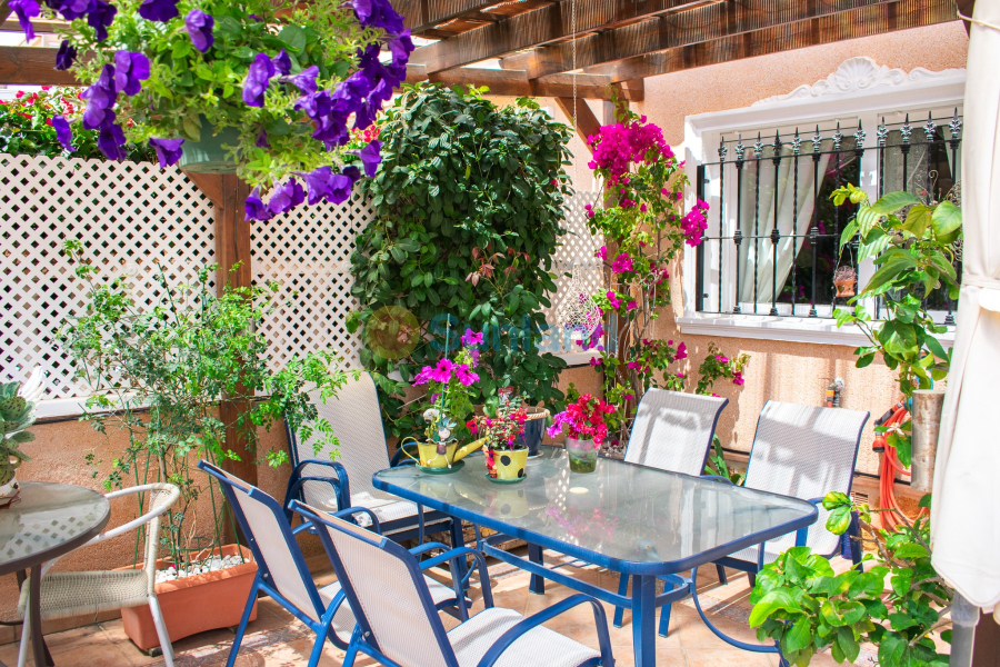 Brukte eiendommer - Rekkehus - Orihuela Costa - Los Dolses