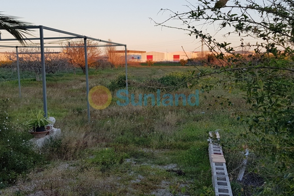 Resale - Rural Property - Almoradí - Almoradi