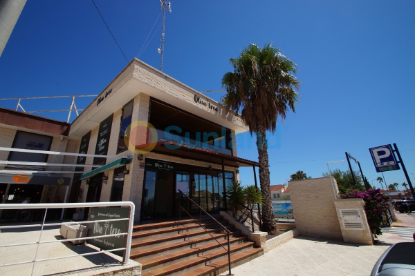 Resale - Commercial Property - Rojales
