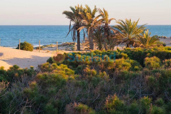 Använda fastigheter - Parhus - Guardamar del Segura - Playa del Moncayo