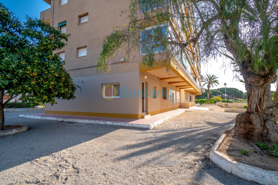 New Build - Apartment - Guardamar del Segura - Playa
