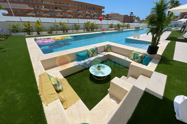 New Build - Penthouse - Guardamar del Segura - Guardamar Del Segura
