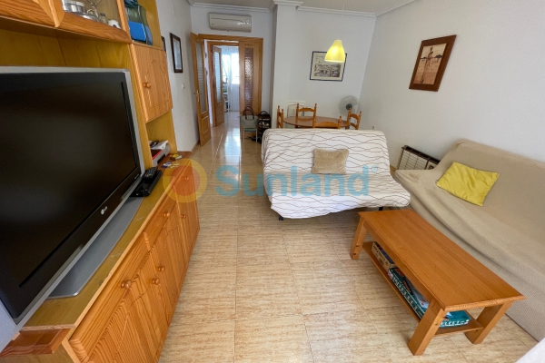 Använda fastigheter - Apartment / flat - Formentera del Segura